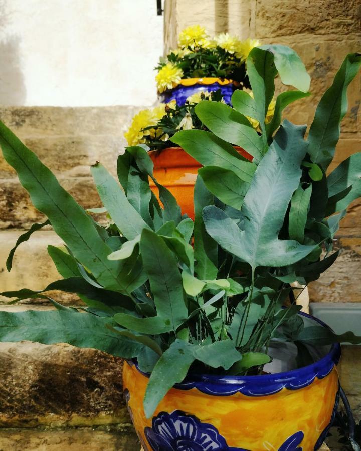 Il Kiostro Villa Zurrieq Buitenkant foto